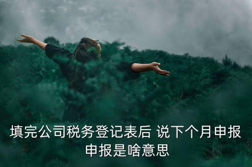 納稅登記表是什么意思，填完公司稅務登記表后 說下個月申報 申報是啥意思