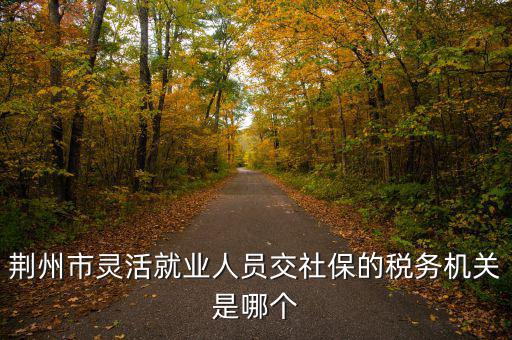 荊州市靈活就業人員交社保的稅務機關是哪個