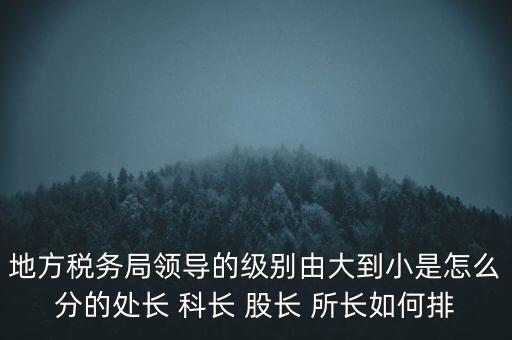 地方稅務局領導的級別由大到小是怎么分的處長 科長 股長 所長如何排