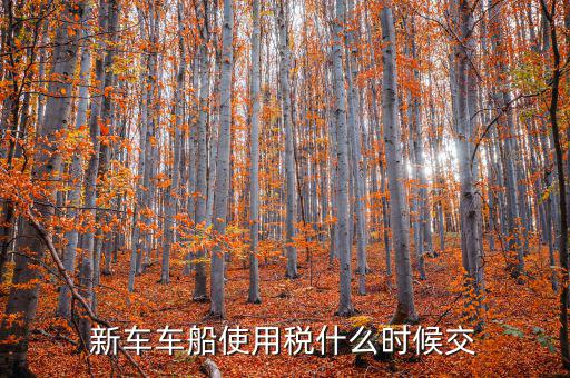 新車什么時(shí)候交車船稅，新車車船使用稅什么時(shí)候交