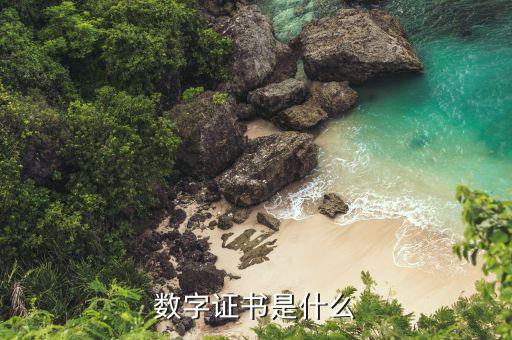 什么是一證通數字證書，數字證書是什么