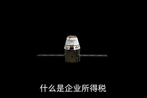 什么是企業所得稅