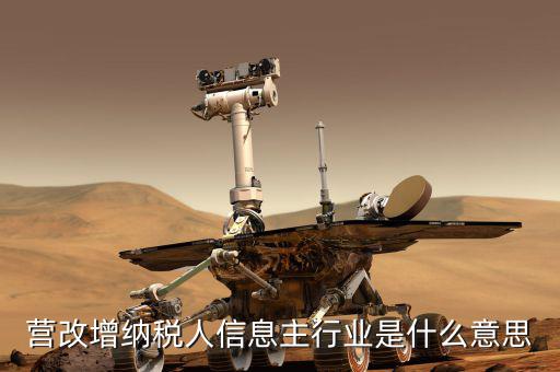 國稅主行業都是什么意思，營改增納稅人信息主行業是什么意思