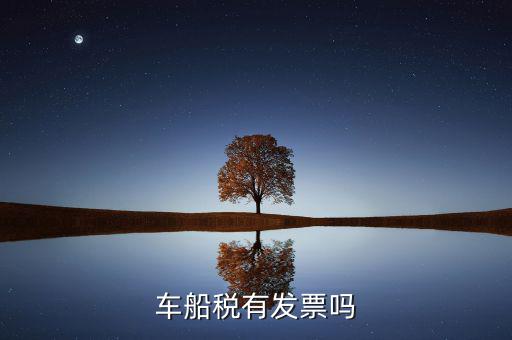 車船稅有發票嗎