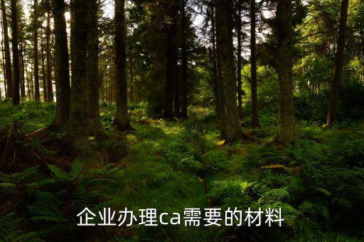 企業辦理ca需要的材料