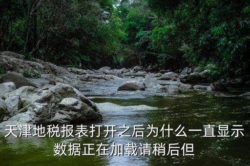天津地稅為什么，天津地稅報表打開之后為什么一直顯示數據正在加載請稍后但