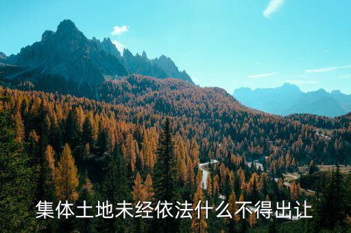 集體土地未經依法什么不得出讓