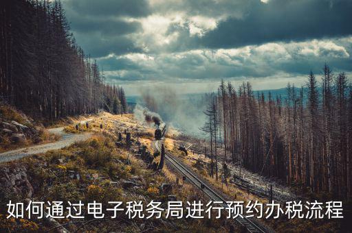 國稅局預約有什么，拿金稅盤去國稅前臺弄要預約嗎
