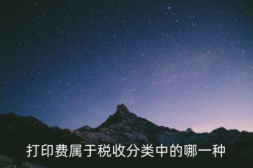 打字復印是什么稅種，我在鄉鎮辦了一家打字復印店請問需交納哪些稅