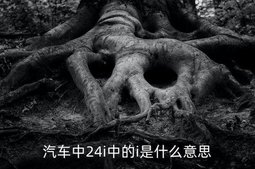 小車船i代表什么意思，汽車中24i中的i是什么意思