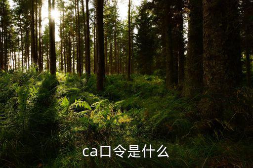ca證書驗證口令是什么，ca口令是什么