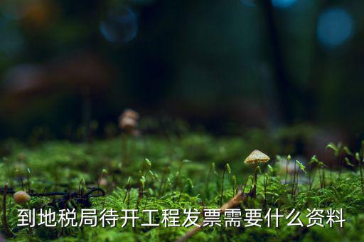 到地稅局待開工程發票需要什么資料
