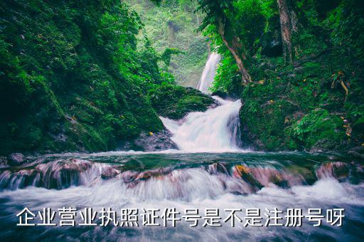 企業營業執照證件號是不是注冊號呀