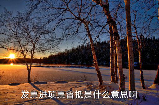 發票進項票留抵是什么意思啊