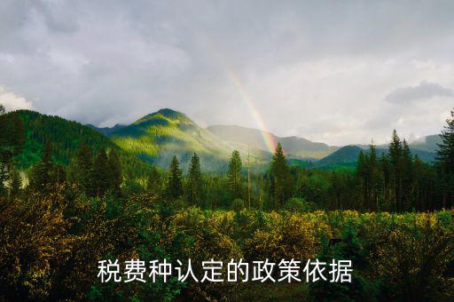 什么是稅費種認定信息查詢，稅費種認定信息在哪里查看