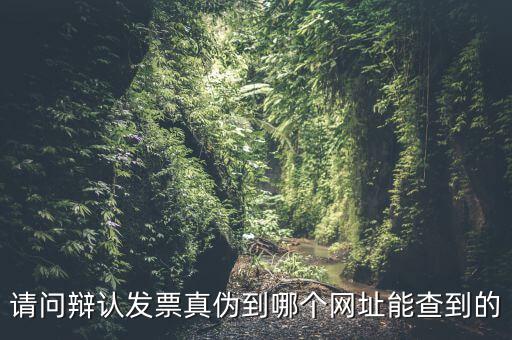 請問辯認發票真偽到哪個網址能查到的