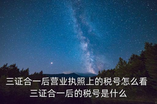 三證合一后營業執照上的稅號怎么看 三證合一后的稅號是什么