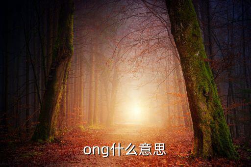 發票ong什么意思，ong什么意思