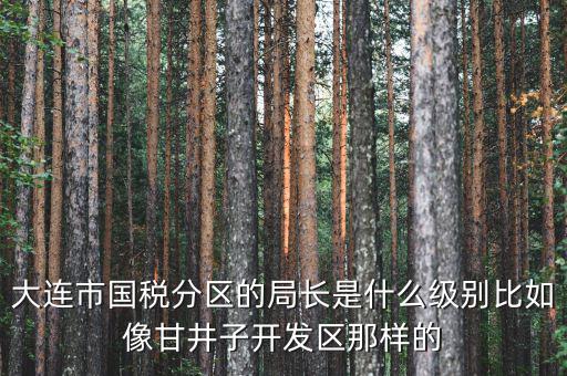 大連市國稅分區的局長是什么級別比如像甘井子開發區那樣的