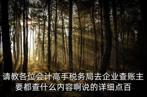 請教各位會計高手稅務局去企業查賬主要都查什么內容啊說的詳細點百