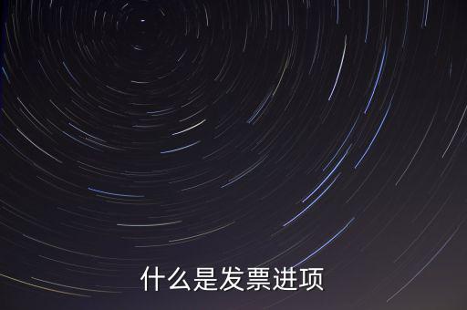 什么是發票進項