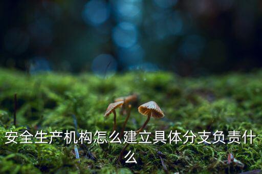 什么是三級分支機構，英語三級發證機構是什么