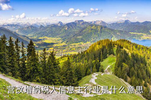 營改增納稅人信息主行業是什么意思