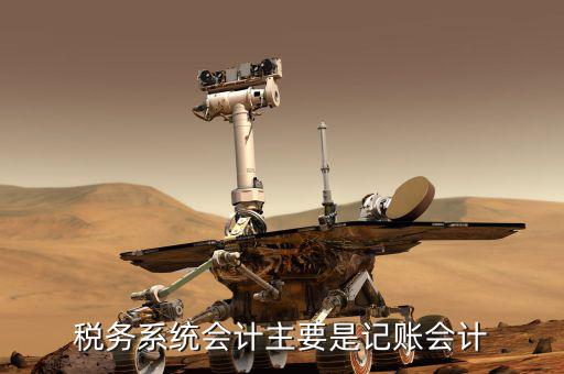 稅務系統會計主要是記賬會計