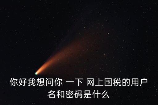 稅務登記密碼是什么，國稅第一次網上申報的登陸密碼是什么