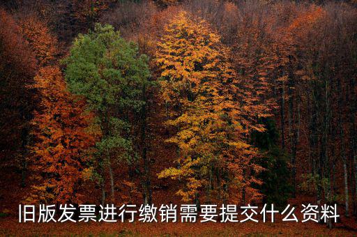 舊版發票進行繳銷需要提交什么資料