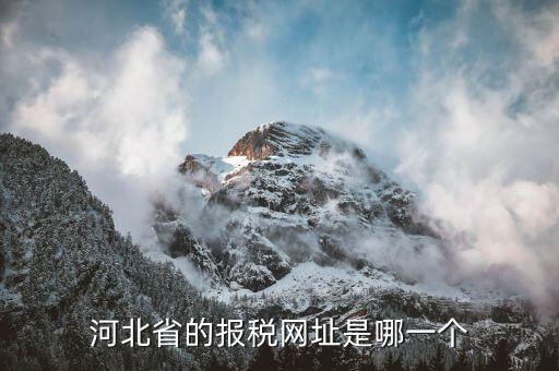 河北稅務官網是什么，怎么打開河北省國稅網站