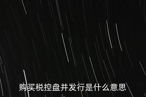 購買稅控盤并發行是什么意思