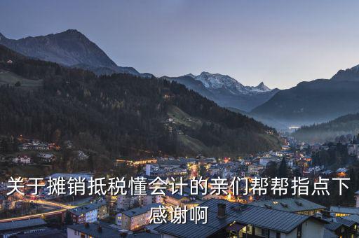 關于攤銷抵稅懂會計的親們幫幫指點下感謝啊