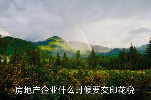 房地產企業什么時候要交印花稅