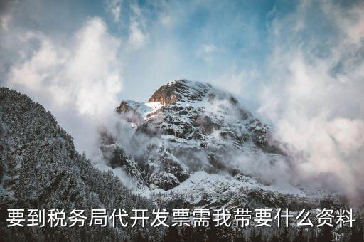 個人稅務局代開發需要什么資料，稅局代開發發票需要帶什么資料