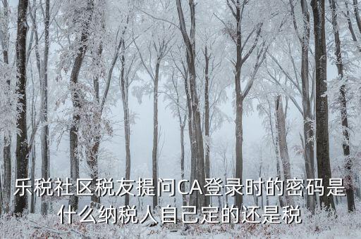 什么是國稅ca密碼，樂稅社區稅友提問CA登錄時的密碼是什么納稅人自己定的還是稅