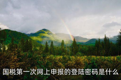 國稅第一次網上申報的登陸密碼是什么