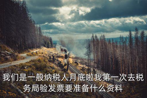 我們是一般納稅人月底啦我第一次去稅務局驗發票要準備什么資料