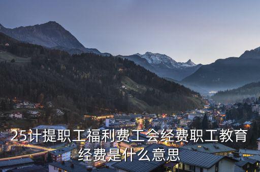 25計提職工福利費工會經費職工教育經費是什么意思