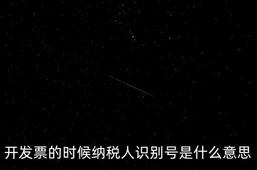 開發(fā)票的時(shí)候納稅人識別號是什么意思