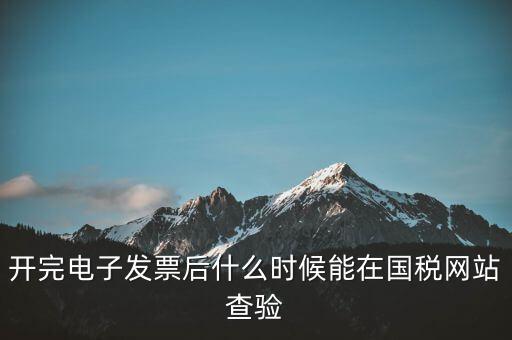開完電子發票后什么時候能在國稅網站查驗