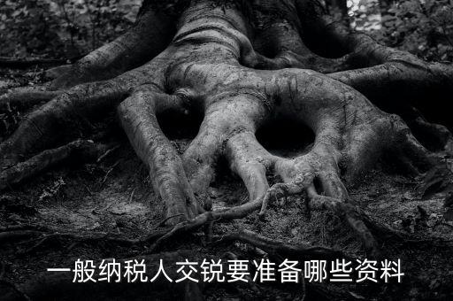交稅需要什么資料，一般納稅人交銳要準備哪些資料