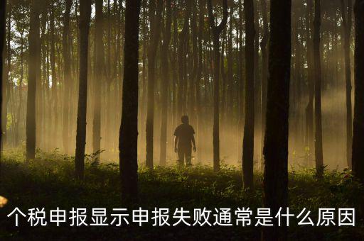 個稅申報系統為什么不能反饋，為什么個人所得稅申報以后反饋信息失敗