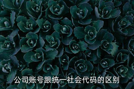 賬號上的統一社會代碼是什么意思，統一社會信用代碼有什么用