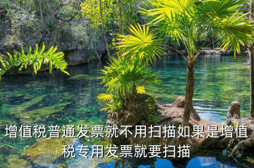 增值稅普通發票就不用掃描如果是增值稅專用發票就要掃描