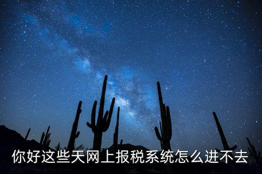 為什么個稅系統打不開，你好這些天網上報稅系統怎么進不去