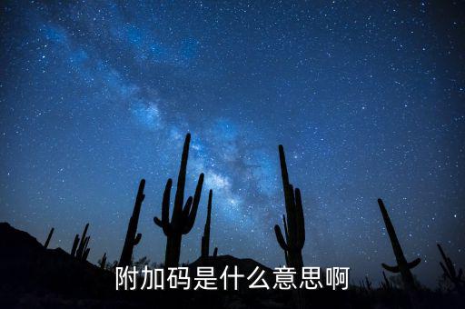 遼寧查發票有一個附加碼是什么，發票真偽查詢碼是什么