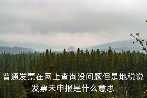 普通發票在網上查詢沒問題但是地稅說發票未申報是什么意思