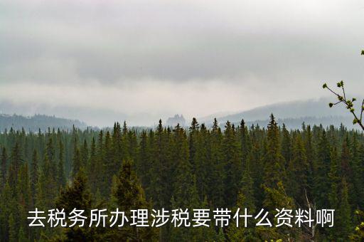 去稅務所辦理涉稅要帶什么資料啊
