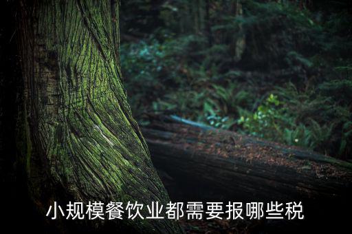 小規模餐飲業都需要報哪些稅